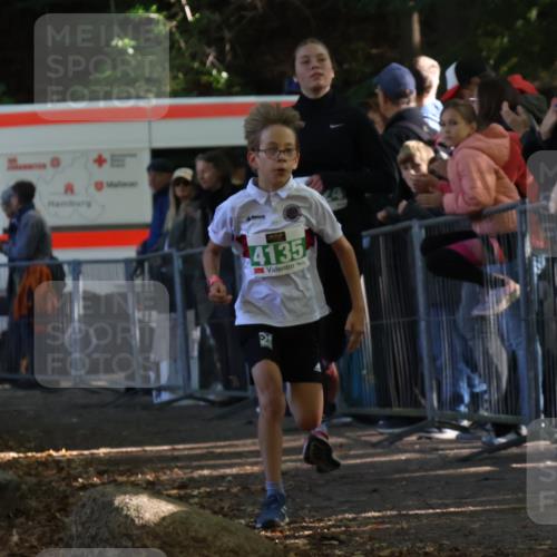 28.09.2025 - 33. Volkslauf durch das schöne Alstertal Strokosch-Dieckow http://msf.ph/oto/8961227 28.09.2025 10:53:03 Ziel 4124, 4135, 4184 meine-sportfotos.de