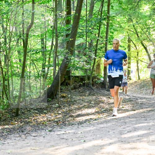 28.09.2025 - 33. Volkslauf durch das schöne Alstertal Dr. Thomas Lammeyer http://msf.ph/oto/8961228 28.09.2025 11:06:46 Laufen 3382, 3248 meine-sportfotos.de