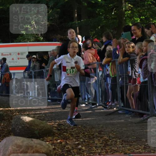 28.09.2025 - 33. Volkslauf durch das schöne Alstertal Strokosch-Dieckow http://msf.ph/oto/8961229 28.09.2025 10:53:03 Ziel 4124, 4135, 4184 meine-sportfotos.de