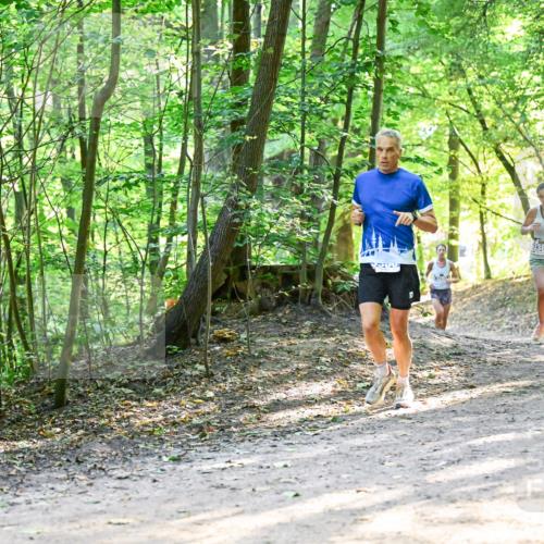 28.09.2025 - 33. Volkslauf durch das schöne Alstertal Dr. Thomas Lammeyer http://msf.ph/oto/8961230 28.09.2025 11:06:47 Laufen 500, 3382, 32 meine-sportfotos.de