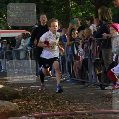 28.09.2025 - 33. Volkslauf durch das schöne Alstertal Strokosch-Dieckow http://msf.ph/oto/8961231 28.09.2025 10:53:03 Ziel 4124, 4135, 4184 meine-sportfotos.de
