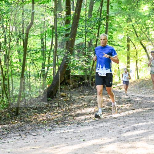 28.09.2025 - 33. Volkslauf durch das schöne Alstertal Dr. Thomas Lammeyer http://msf.ph/oto/8961232 28.09.2025 11:06:47 Laufen 380, 382 meine-sportfotos.de