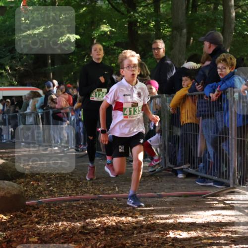 28.09.2025 - 33. Volkslauf durch das schöne Alstertal Strokosch-Dieckow http://msf.ph/oto/8961235 28.09.2025 10:53:04 Ziel 4124, 4135, 4184 meine-sportfotos.de