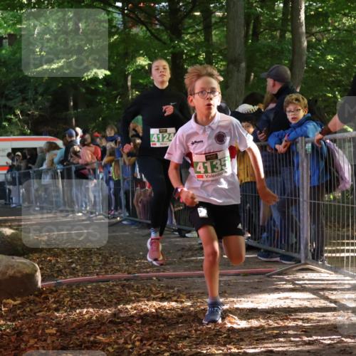 28.09.2025 - 33. Volkslauf durch das schöne Alstertal Strokosch-Dieckow http://msf.ph/oto/8961237 28.09.2025 10:53:05 Ziel 4124, 4135, 4184 meine-sportfotos.de