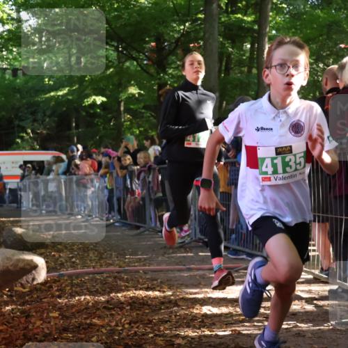 28.09.2025 - 33. Volkslauf durch das schöne Alstertal Strokosch-Dieckow http://msf.ph/oto/8961240 28.09.2025 10:53:05 Ziel 4124, 4135, 4184 meine-sportfotos.de