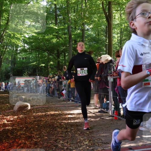 28.09.2025 - 33. Volkslauf durch das schöne Alstertal Strokosch-Dieckow http://msf.ph/oto/8961243 28.09.2025 10:53:05 Ziel 4124, 4135, 4184 meine-sportfotos.de
