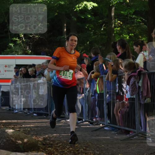 28.09.2025 - 33. Volkslauf durch das schöne Alstertal Strokosch-Dieckow http://msf.ph/oto/8961247 28.09.2025 10:53:11 Ziel 4132, 4184 meine-sportfotos.de
