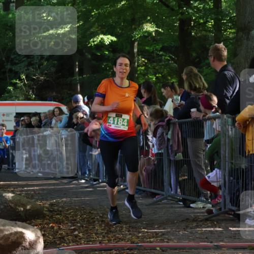 28.09.2025 - 33. Volkslauf durch das schöne Alstertal Strokosch-Dieckow http://msf.ph/oto/8961249 28.09.2025 10:53:11 Ziel 4132, 4184 meine-sportfotos.de