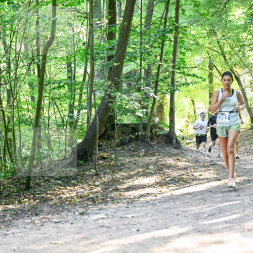28.09.2025 - 33. Volkslauf durch das schöne Alstertal Dr. Thomas Lammeyer http://msf.ph/oto/8961250 28.09.2025 11:06:48 Laufen 13821, 3248 meine-sportfotos.de