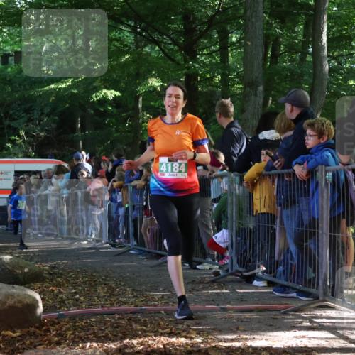 28.09.2025 - 33. Volkslauf durch das schöne Alstertal Strokosch-Dieckow http://msf.ph/oto/8961251 28.09.2025 10:53:12 Ziel 4132, 4184, 4924 meine-sportfotos.de