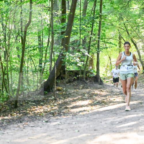 28.09.2025 - 33. Volkslauf durch das schöne Alstertal Dr. Thomas Lammeyer http://msf.ph/oto/8961252 28.09.2025 11:06:49 Laufen  meine-sportfotos.de