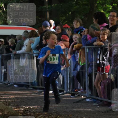 28.09.2025 - 33. Volkslauf durch das schöne Alstertal Strokosch-Dieckow http://msf.ph/oto/8961255 28.09.2025 10:53:14 Ziel 4132, 4924 meine-sportfotos.de