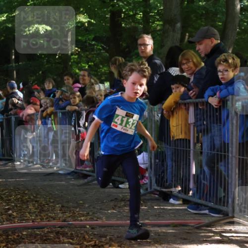 28.09.2025 - 33. Volkslauf durch das schöne Alstertal Strokosch-Dieckow http://msf.ph/oto/8961259 28.09.2025 10:53:15 Ziel 4132, 4924 meine-sportfotos.de