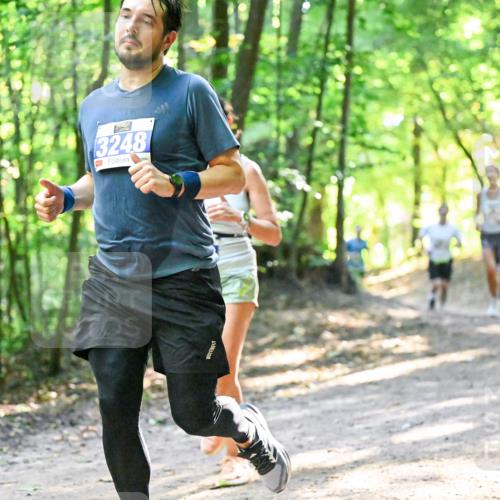 28.09.2025 - 33. Volkslauf durch das schöne Alstertal Dr. Thomas Lammeyer http://msf.ph/oto/8961272 28.09.2025 11:06:50 Laufen 3248 meine-sportfotos.de
