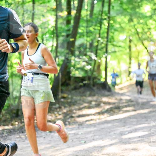 28.09.2025 - 33. Volkslauf durch das schöne Alstertal Dr. Thomas Lammeyer http://msf.ph/oto/8961275 28.09.2025 11:06:50 Laufen 3248, 382 meine-sportfotos.de