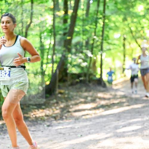 28.09.2025 - 33. Volkslauf durch das schöne Alstertal Dr. Thomas Lammeyer http://msf.ph/oto/8961276 28.09.2025 11:06:51 Laufen 382 meine-sportfotos.de