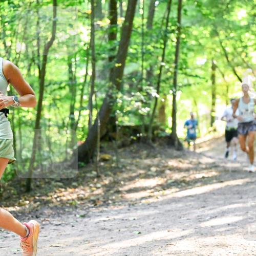 28.09.2025 - 33. Volkslauf durch das schöne Alstertal Dr. Thomas Lammeyer http://msf.ph/oto/8961277 28.09.2025 11:06:51 Laufen 382 meine-sportfotos.de