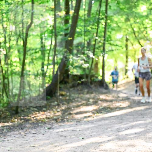 28.09.2025 - 33. Volkslauf durch das schöne Alstertal Dr. Thomas Lammeyer http://msf.ph/oto/8961279 28.09.2025 11:06:51 Laufen  meine-sportfotos.de