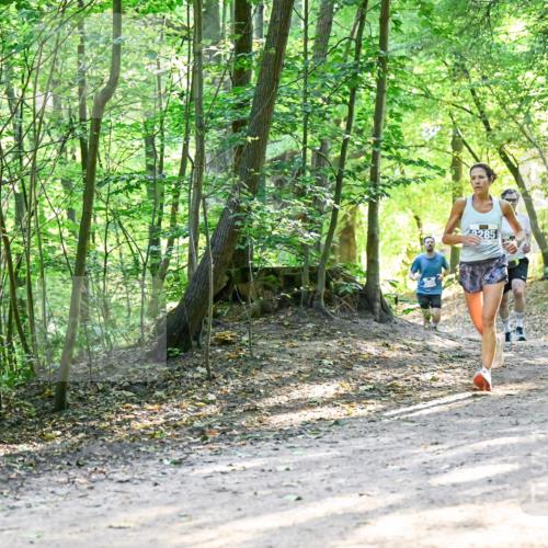 28.09.2025 - 33. Volkslauf durch das schöne Alstertal Dr. Thomas Lammeyer http://msf.ph/oto/8961281 28.09.2025 11:06:51 Laufen 285 meine-sportfotos.de