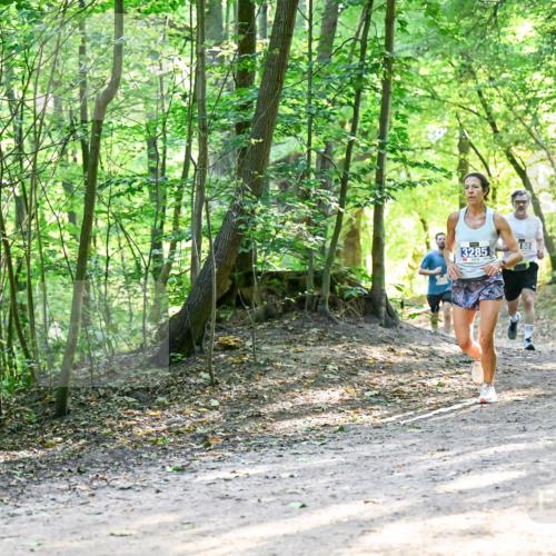 28.09.2025 - 33. Volkslauf durch das schöne Alstertal Dr. Thomas Lammeyer http://msf.ph/oto/8961283 28.09.2025 11:06:51 Laufen 3285, 188, 3913 meine-sportfotos.de