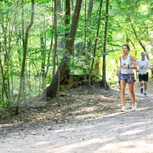28.09.2025 - 33. Volkslauf durch das schöne Alstertal Dr. Thomas Lammeyer http://msf.ph/oto/8961284 28.09.2025 11:06:52 Laufen 3188, 3913 meine-sportfotos.de