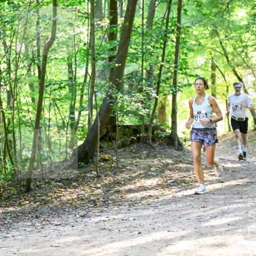 28.09.2025 - 33. Volkslauf durch das schöne Alstertal Dr. Thomas Lammeyer http://msf.ph/oto/8961286 28.09.2025 11:06:52 Laufen 3285, 3188 meine-sportfotos.de