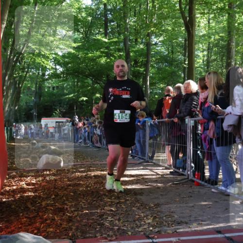 28.09.2025 - 33. Volkslauf durch das schöne Alstertal Strokosch-Dieckow http://msf.ph/oto/8961289 28.09.2025 10:53:31 Ziel 4077, 4154 meine-sportfotos.de