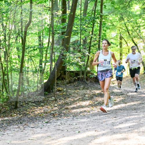 28.09.2025 - 33. Volkslauf durch das schöne Alstertal Dr. Thomas Lammeyer http://msf.ph/oto/8961290 28.09.2025 11:06:52 Laufen 285, 3913, 3188 meine-sportfotos.de