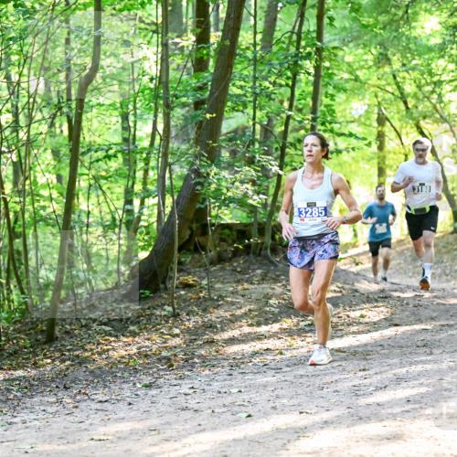 28.09.2025 - 33. Volkslauf durch das schöne Alstertal Dr. Thomas Lammeyer http://msf.ph/oto/8961291 28.09.2025 11:06:52 Laufen 3285, 3189, 3913 meine-sportfotos.de
