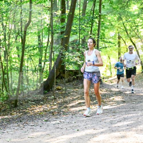 28.09.2025 - 33. Volkslauf durch das schöne Alstertal Dr. Thomas Lammeyer http://msf.ph/oto/8961293 28.09.2025 11:06:52 Laufen 3913 meine-sportfotos.de