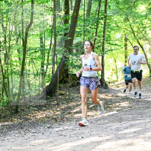 28.09.2025 - 33. Volkslauf durch das schöne Alstertal Dr. Thomas Lammeyer http://msf.ph/oto/8961294 28.09.2025 11:06:52 Laufen 3188, 391 meine-sportfotos.de
