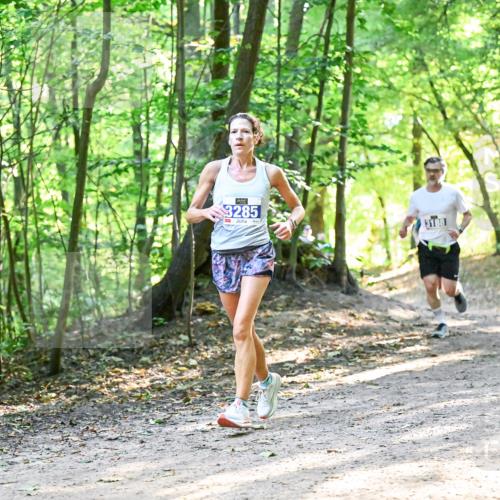 28.09.2025 - 33. Volkslauf durch das schöne Alstertal Dr. Thomas Lammeyer http://msf.ph/oto/8961298 28.09.2025 11:06:53 Laufen 3285, 3188, 3913 meine-sportfotos.de