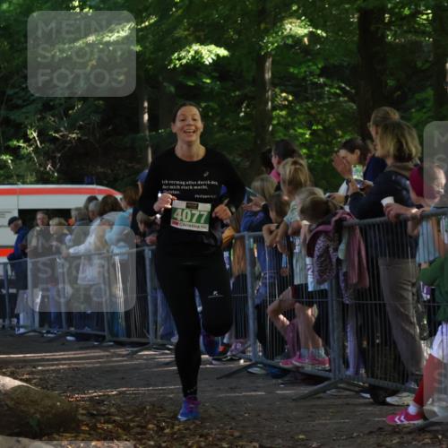 28.09.2025 - 33. Volkslauf durch das schöne Alstertal Strokosch-Dieckow http://msf.ph/oto/8961301 28.09.2025 10:53:38 Ziel 4039, 4077, 4923 meine-sportfotos.de