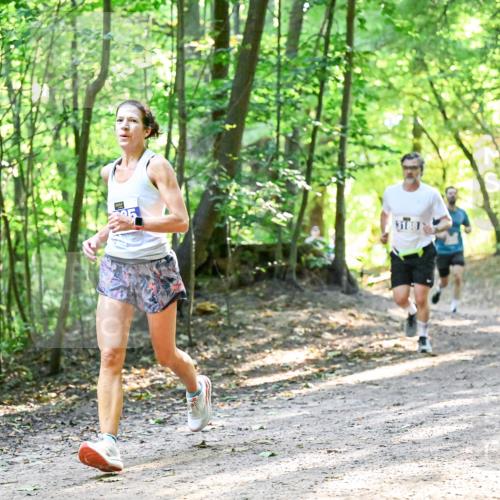 28.09.2025 - 33. Volkslauf durch das schöne Alstertal Dr. Thomas Lammeyer http://msf.ph/oto/8961303 28.09.2025 11:06:53 Laufen  meine-sportfotos.de