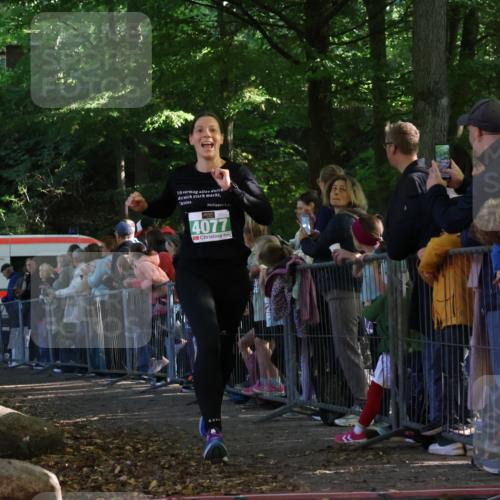 28.09.2025 - 33. Volkslauf durch das schöne Alstertal Strokosch-Dieckow http://msf.ph/oto/8961304 28.09.2025 10:53:38 Ziel 4039, 4077, 4923 meine-sportfotos.de