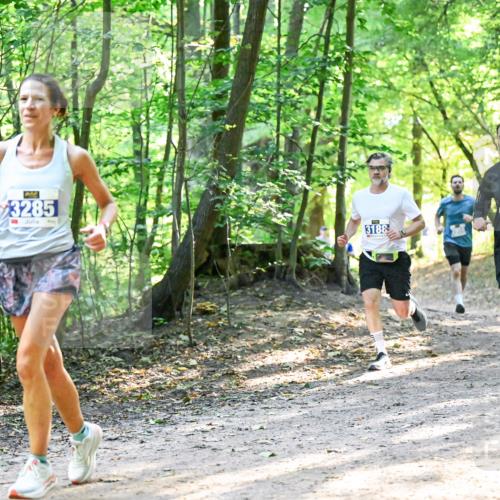 28.09.2025 - 33. Volkslauf durch das schöne Alstertal Dr. Thomas Lammeyer http://msf.ph/oto/8961305 28.09.2025 11:06:53 Laufen 3285, 3188, 3913 meine-sportfotos.de