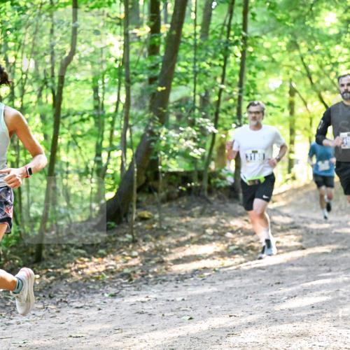 28.09.2025 - 33. Volkslauf durch das schöne Alstertal Dr. Thomas Lammeyer http://msf.ph/oto/8961307 28.09.2025 11:06:54 Laufen 3285, 3913 meine-sportfotos.de