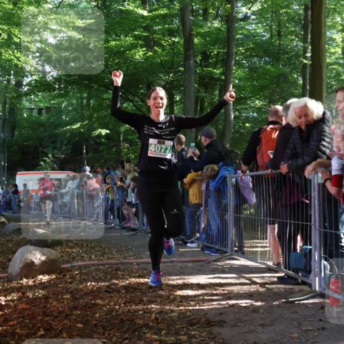 28.09.2025 - 33. Volkslauf durch das schöne Alstertal Strokosch-Dieckow http://msf.ph/oto/8961309 28.09.2025 10:53:39 Ziel 4039, 4077, 4923 meine-sportfotos.de