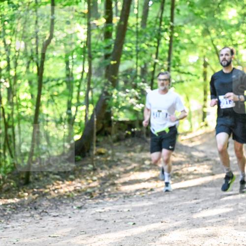 28.09.2025 - 33. Volkslauf durch das schöne Alstertal Dr. Thomas Lammeyer http://msf.ph/oto/8961310 28.09.2025 11:06:54 Laufen  meine-sportfotos.de