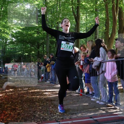 28.09.2025 - 33. Volkslauf durch das schöne Alstertal Strokosch-Dieckow http://msf.ph/oto/8961314 28.09.2025 10:53:40 Ziel 4039, 4077, 4923 meine-sportfotos.de
