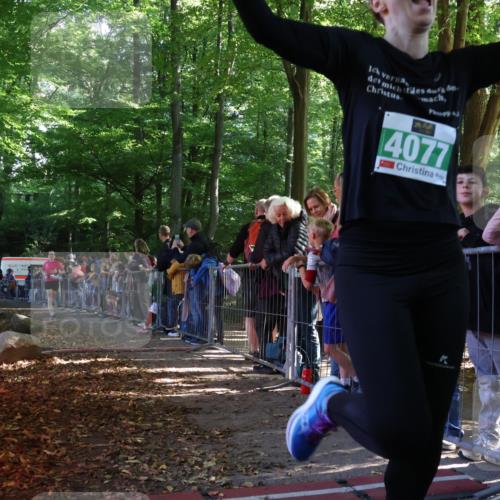 28.09.2025 - 33. Volkslauf durch das schöne Alstertal Strokosch-Dieckow http://msf.ph/oto/8961316 28.09.2025 10:53:40 Ziel 4039, 4077, 4923 meine-sportfotos.de