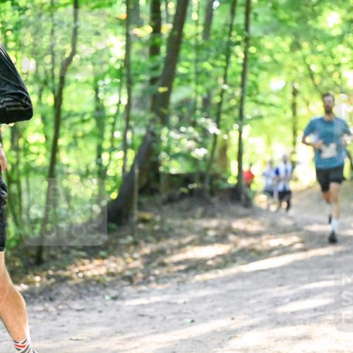 28.09.2025 - 33. Volkslauf durch das schöne Alstertal Dr. Thomas Lammeyer http://msf.ph/oto/8961325 28.09.2025 11:06:55 Laufen  meine-sportfotos.de