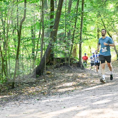 28.09.2025 - 33. Volkslauf durch das schöne Alstertal Dr. Thomas Lammeyer http://msf.ph/oto/8961326 28.09.2025 11:06:56 Laufen 3956 meine-sportfotos.de