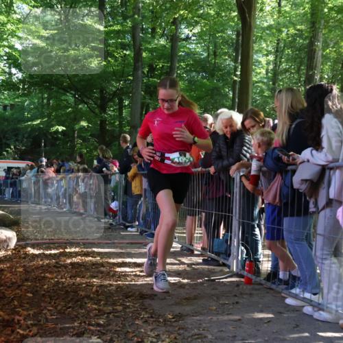 28.09.2025 - 33. Volkslauf durch das schöne Alstertal Strokosch-Dieckow http://msf.ph/oto/8961329 28.09.2025 10:53:43 Ziel 4039, 4115, 4923 meine-sportfotos.de