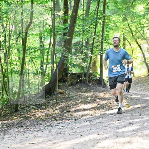 28.09.2025 - 33. Volkslauf durch das schöne Alstertal Dr. Thomas Lammeyer http://msf.ph/oto/8961330 28.09.2025 11:06:56 Laufen 3956 meine-sportfotos.de