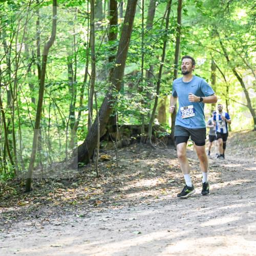 28.09.2025 - 33. Volkslauf durch das schöne Alstertal Dr. Thomas Lammeyer http://msf.ph/oto/8961331 28.09.2025 11:06:56 Laufen  meine-sportfotos.de