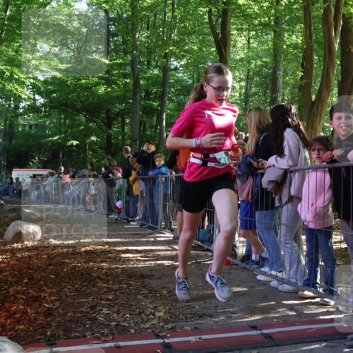28.09.2025 - 33. Volkslauf durch das schöne Alstertal Strokosch-Dieckow http://msf.ph/oto/8961332 28.09.2025 10:53:43 Ziel 4039, 4115, 4923 meine-sportfotos.de