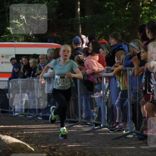 28.09.2025 - 33. Volkslauf durch das schöne Alstertal Strokosch-Dieckow http://msf.ph/oto/8961334 28.09.2025 10:53:45 Ziel 4039, 4115 meine-sportfotos.de