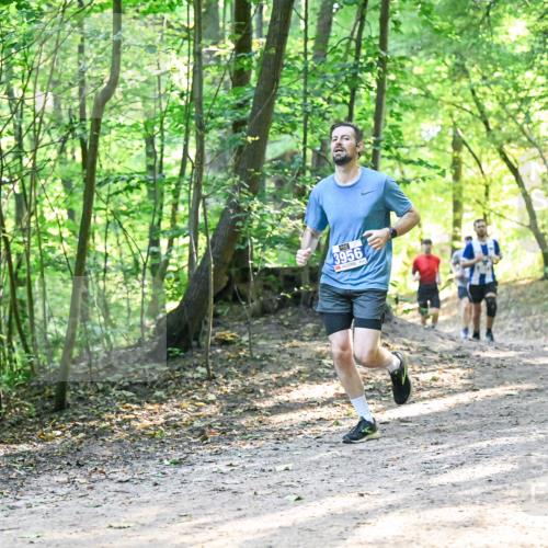 28.09.2025 - 33. Volkslauf durch das schöne Alstertal Dr. Thomas Lammeyer http://msf.ph/oto/8961335 28.09.2025 11:06:57 Laufen 3956 meine-sportfotos.de