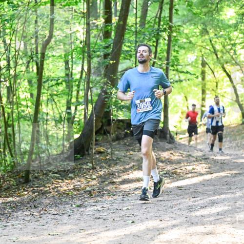28.09.2025 - 33. Volkslauf durch das schöne Alstertal Dr. Thomas Lammeyer http://msf.ph/oto/8961336 28.09.2025 11:06:57 Laufen 3956 meine-sportfotos.de